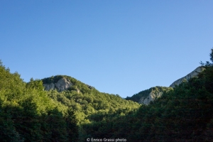 (foto Enrico Grassi)