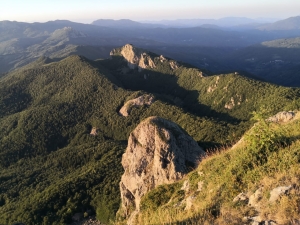 (foto Fabio Cavazzini)