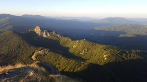 (foto Francesca Campanini)