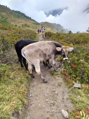 (foto Monica Raboni)