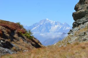 (foto Monica Raboni)