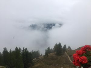 (foto Elena Alessiato)