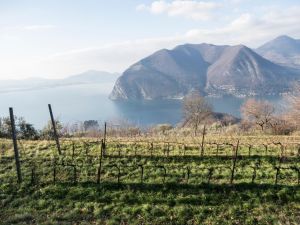 (foto Cesare Groppi)