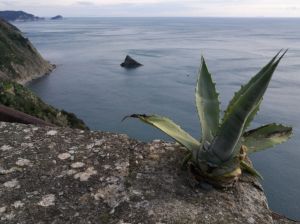 (foto Bruno Canessa)