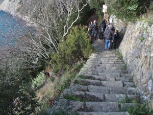 (foto Giampaolo Galuzzi)