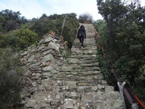 (foto Giampaolo Galuzzi)