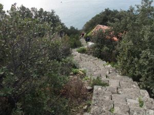 (foto Giampaolo Galuzzi)