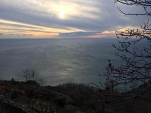 (foto Malcolm Spatz)