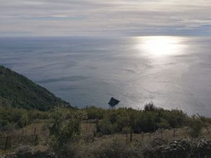 (foto Bruno Canessa)