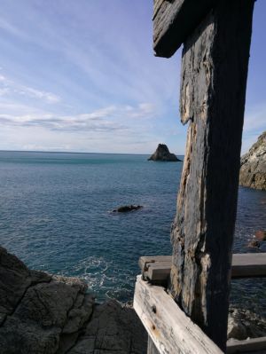 (foto Bruno Canessa)